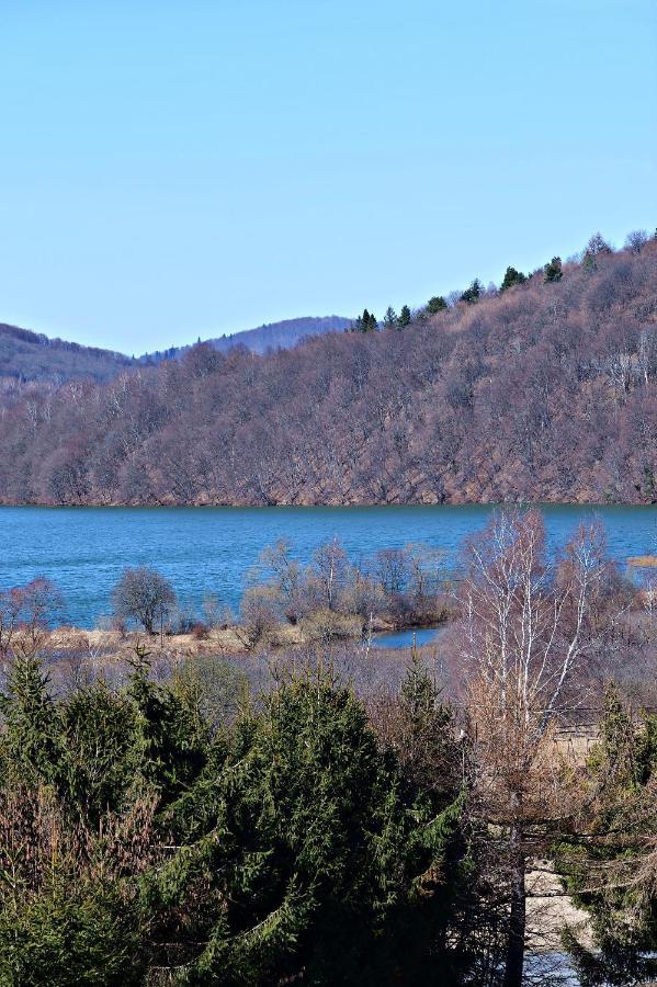 Drozdowka Nad Solina - Chata Z Kominkiem Exterior photo